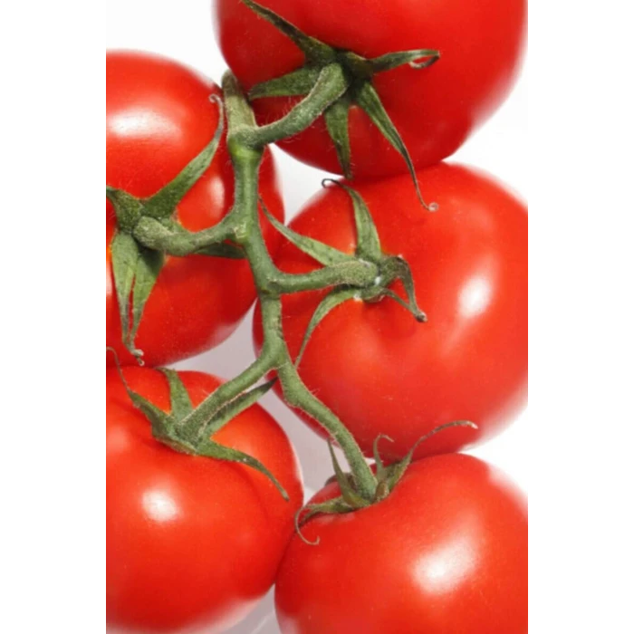 İEG Domates Tohumu Falcon 5 Gr