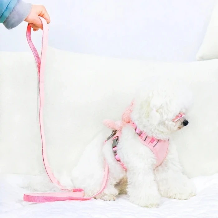 ieg™ Evcil Hayvan Peluş Ayıcıklı Göğüs Gezdirme Tasması Set