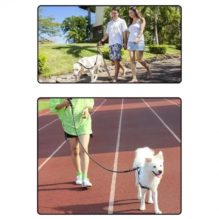 ieg™ Evcil Hayvan Reflektörlü Fitil Gezdirme Tasması 10 mm x 120 cm