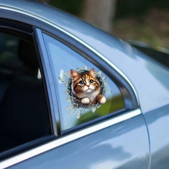 ieg™ Fulcar Stray Araç Stickerı