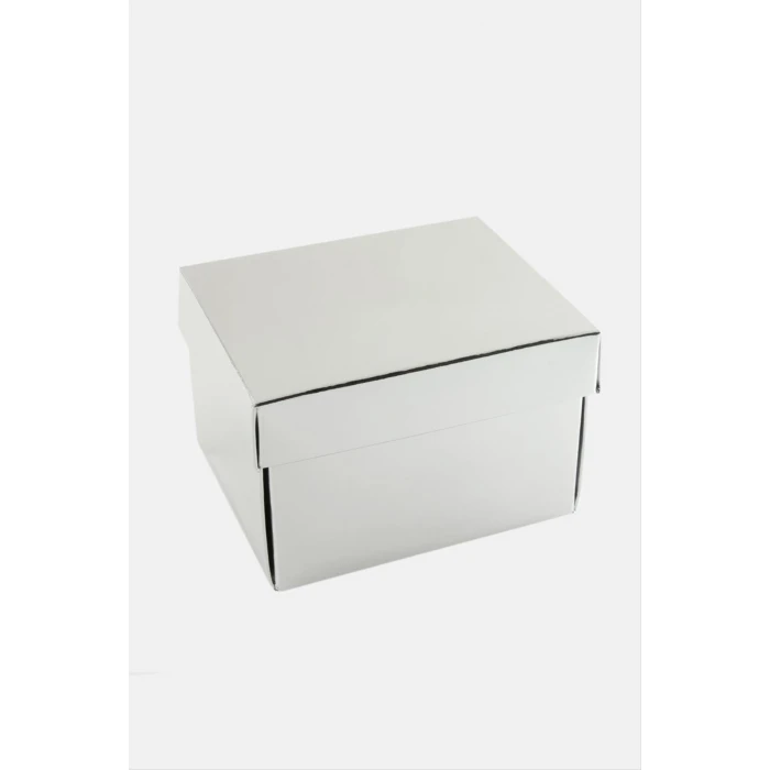 ieg™ Gümüş Renkli Kapaklı Saat Kutusu