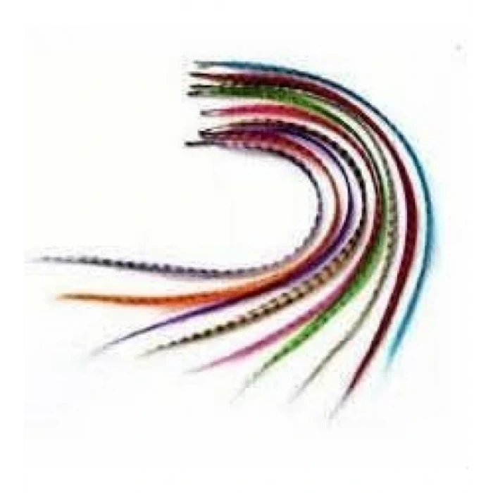 ieg™ Hair Feather Saç Tüyü - Asorti