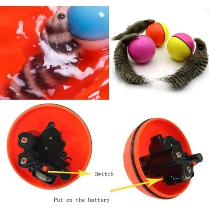 ieg™ Hareketli Rakun Kedi Köpek Oyuncak