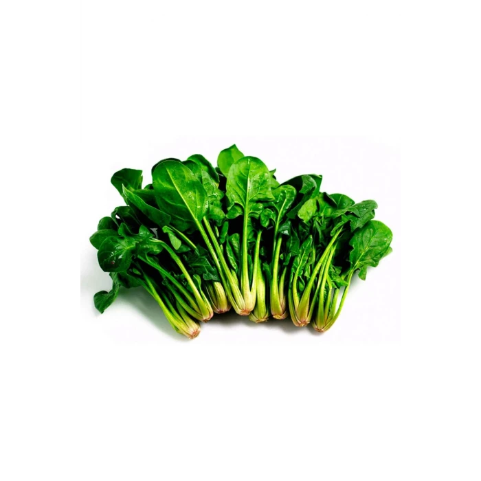 İEG Ispanak Tohumu 25 Gr