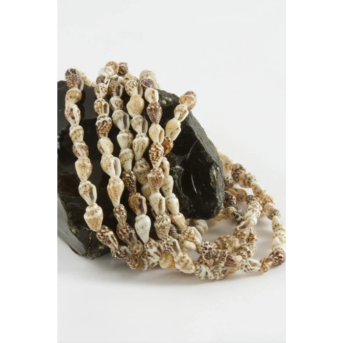 ieg™ İstiridye Deniz Kabuğu 1 Dizi