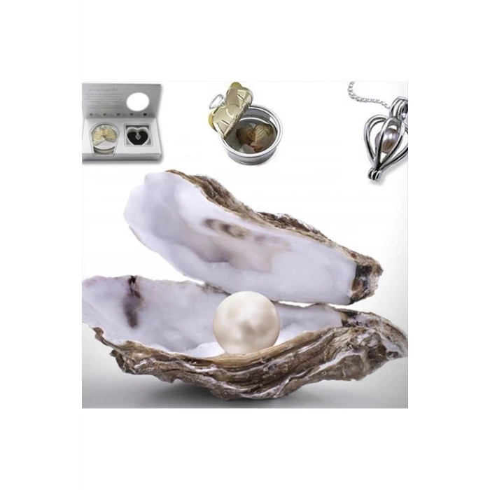 ieg™ İstiridye İçinde Gerçek İnci Kolye