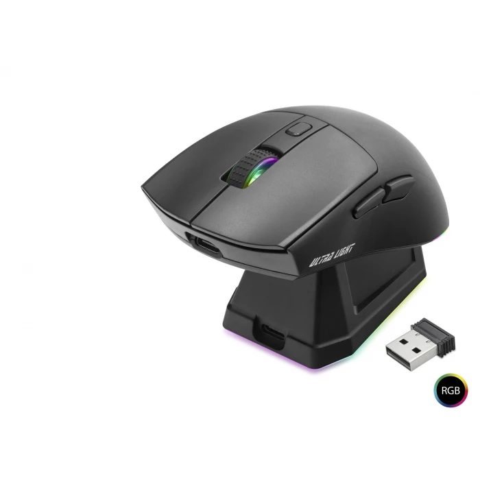 ieg™ Kablosuz Gaming Rgb Mouse Şarj Standlı - Siyah MF1215B