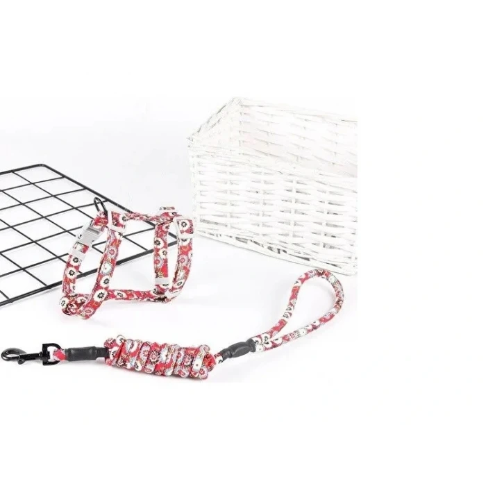 ieg™ Kedi Gezdirme Göğüs Tasması