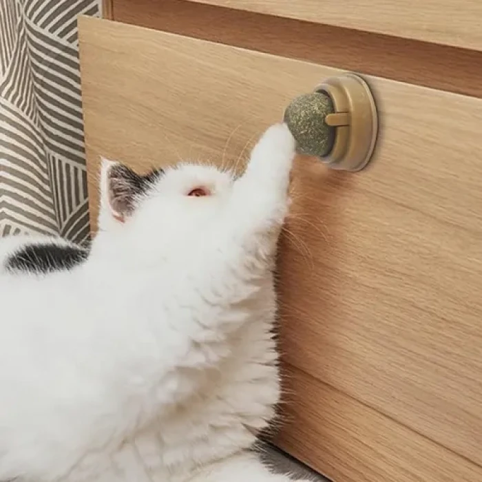 ieg™ Kedi Nanesi Oyun Topu