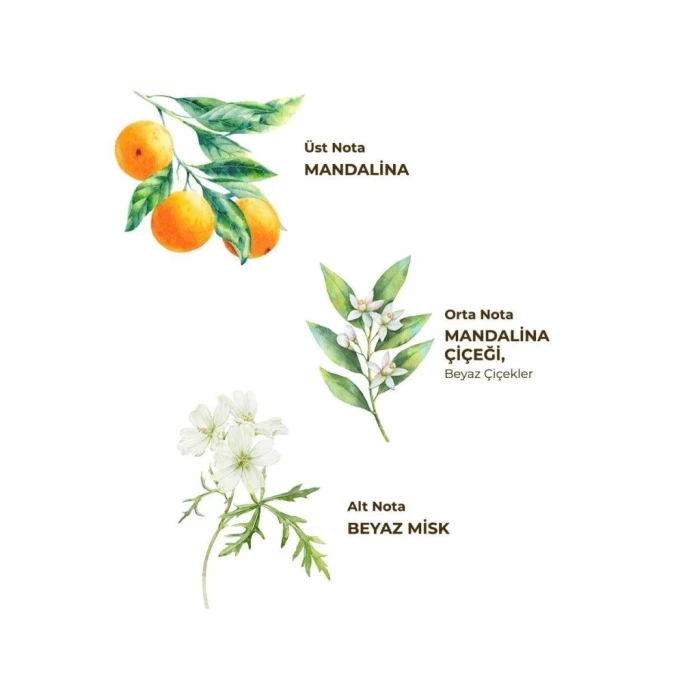 ieg™ Kolonya Pet Şişe Sprey 150 ml Bodrum Man ası