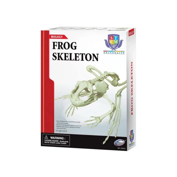 ieg™ Kurbağa İskeleti Bilim Seti