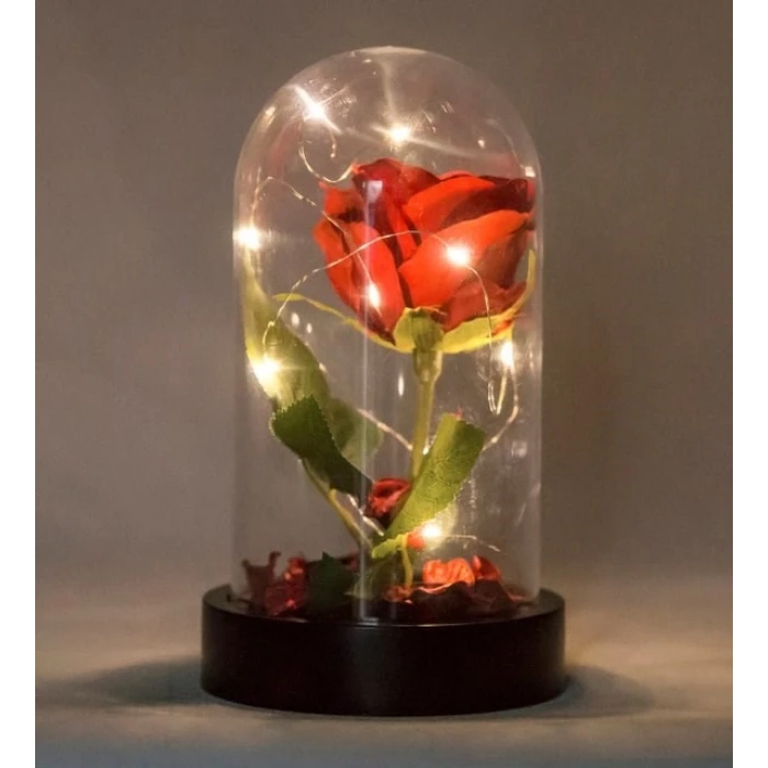 ieg ™ Led Işıklı Fanus İçinde Kırmızı Yapay Gül
