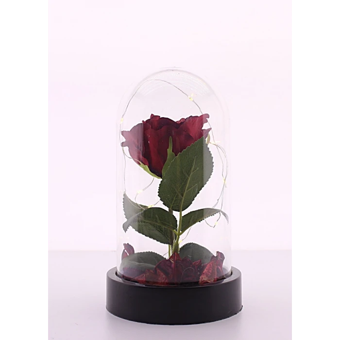 ieg ™ Led Işıklı Fanus İçinde Kırmızı Yapay Gül