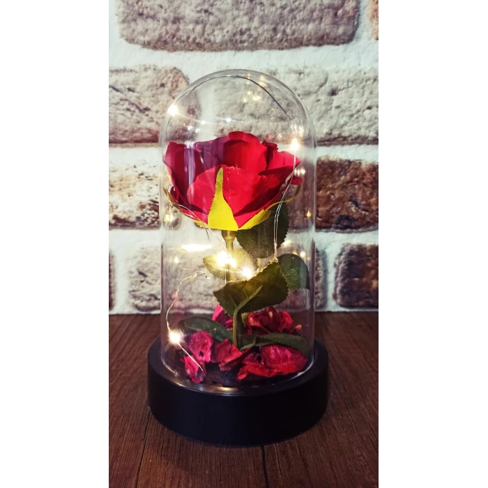 ieg ™ Led Işıklı Şeffaf Mika Fanusta Işıklı  Gül Kırmızı
