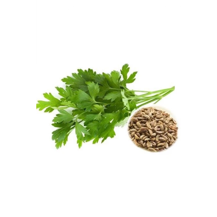 ieg™ Maydanoz Tohumu 25 Gr