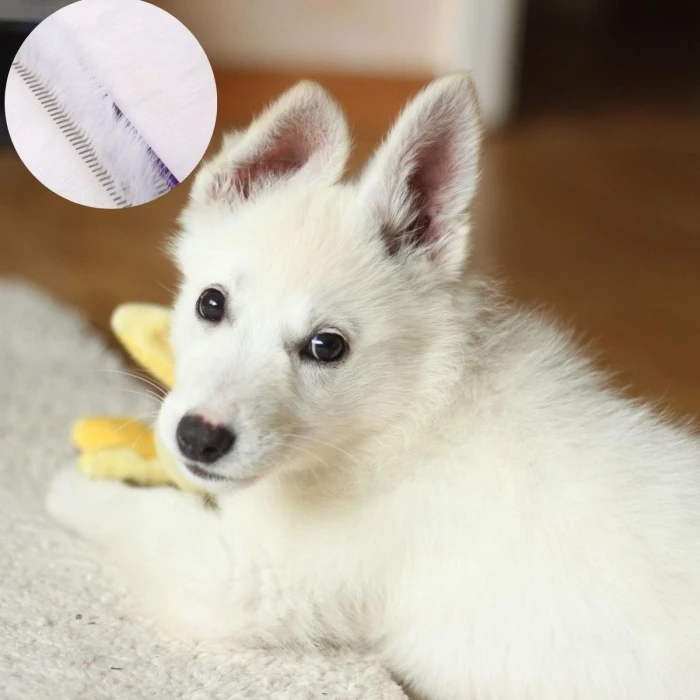 ieg™ Metal Köpek Tarağı - Renkli Pire Tarağı
