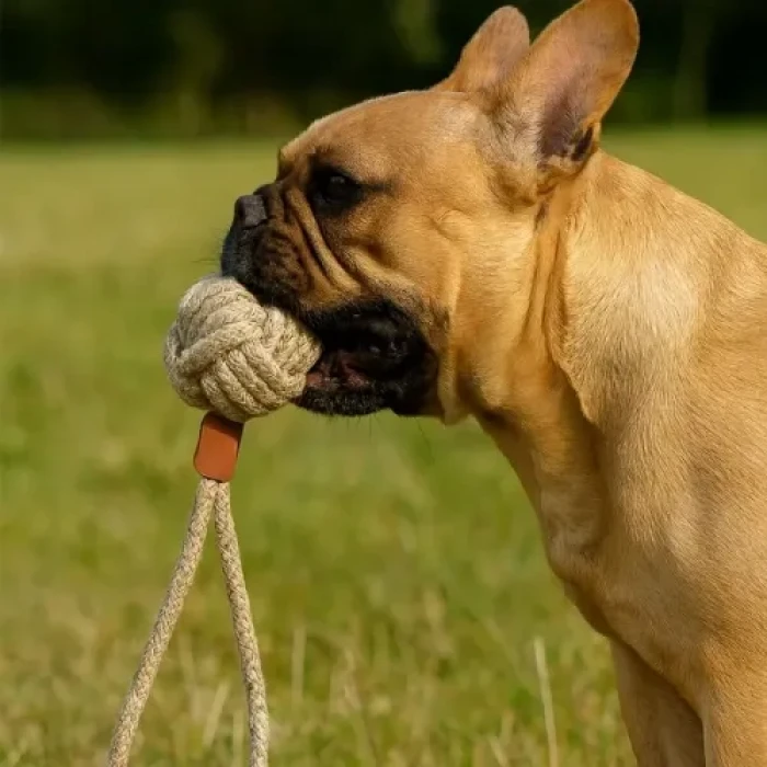 ieg™ Mikopet Köpek Oyun Topu