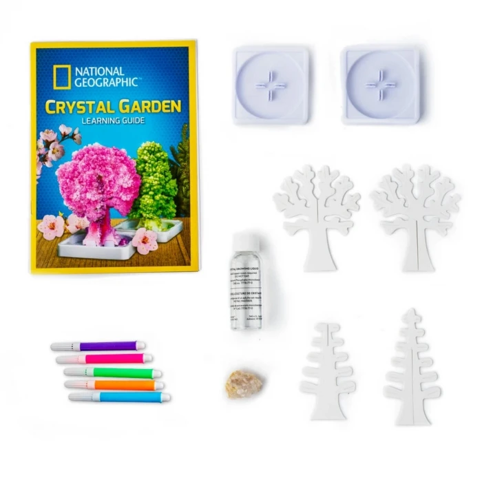 ieg™ Natgeo Kristal Bitki Kiti