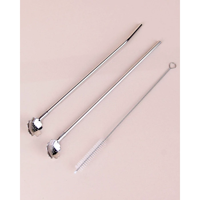 ieg™ Paslanmaz Metal 2 li Kaşıklı Pipet Fırça Seti