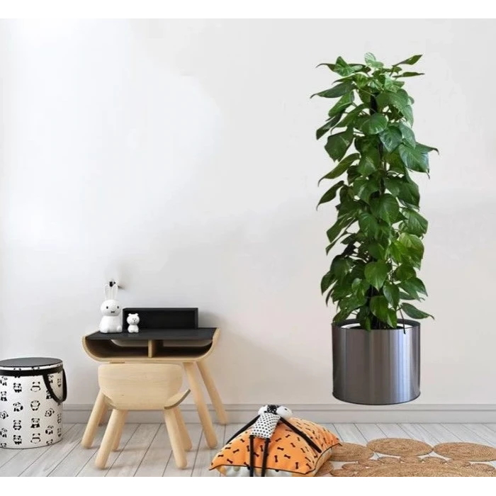 ieg™ Saksılı Bitki Tasarımlı Yapışkanlı Sticker Resim 90*30 cm MC-665