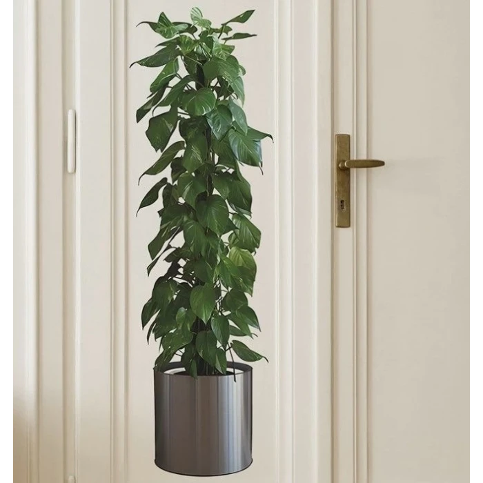 ieg™ Saksılı Bitki Tasarımlı Yapışkanlı Sticker Resim 90*30 cm MC-665