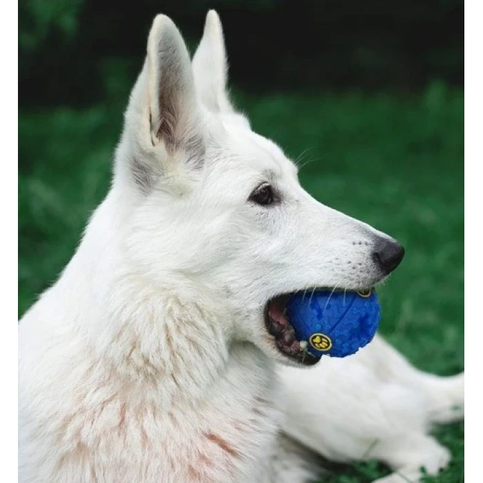 ieg™ SESLI MAMA OYUN TOPU