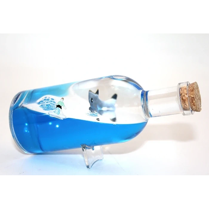 ieg™ Şişe İçinde Batmayan Gemi Model 2