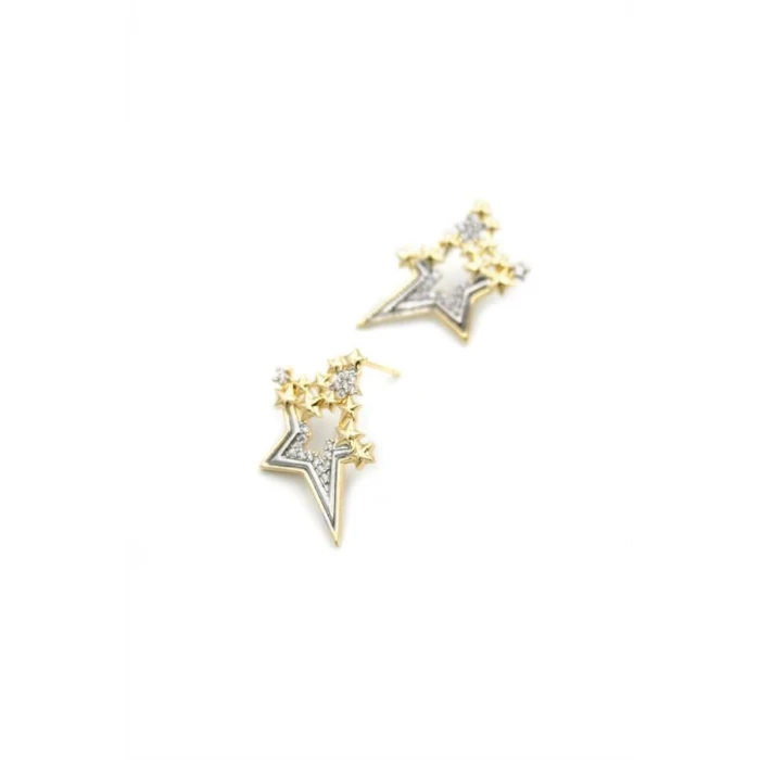 ieg™ Taşlı Yıldız Küpe - Altın