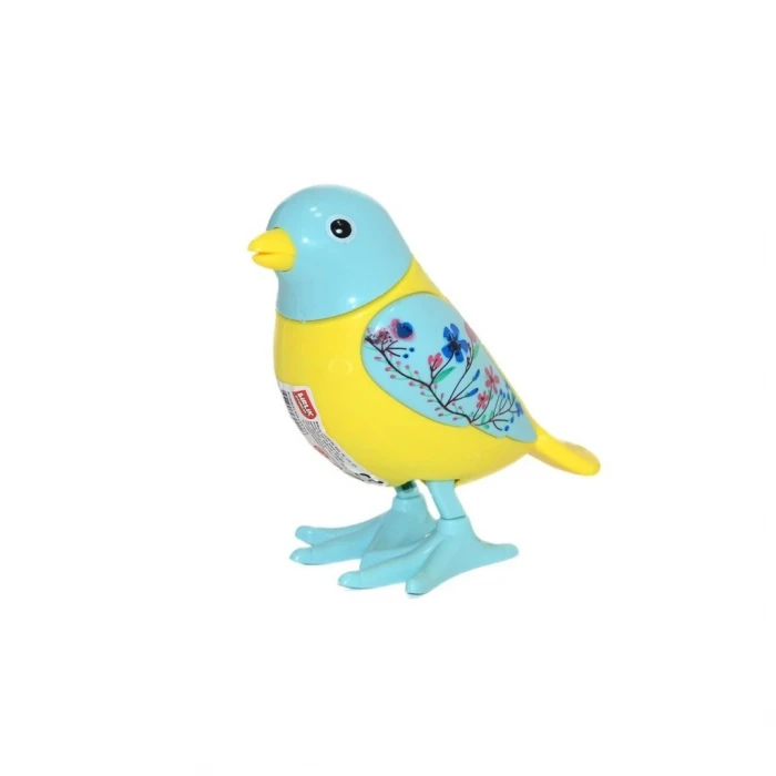 ieg™ URT005-07 KURMALIGİLLER KUŞ