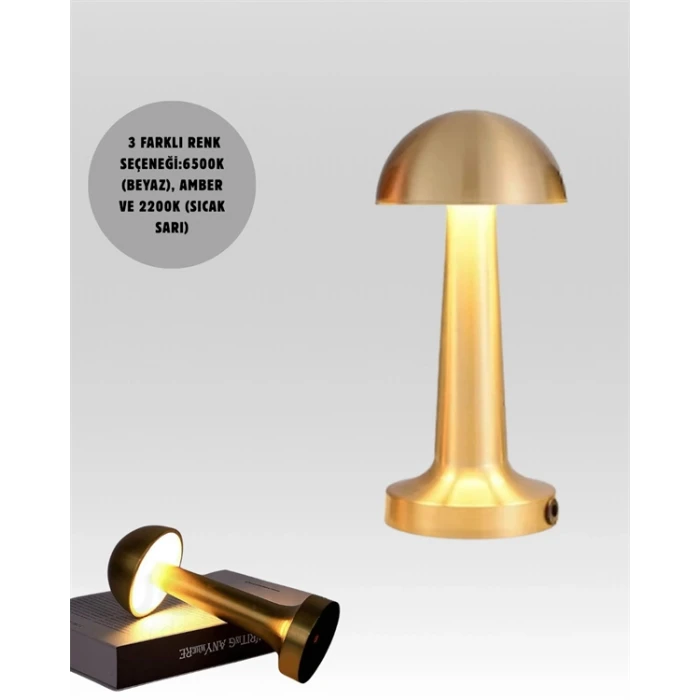 ieg™ USB Şarjlı Dokunmatik LED Masa Lambası – 3 Renk Modu & Dimmer