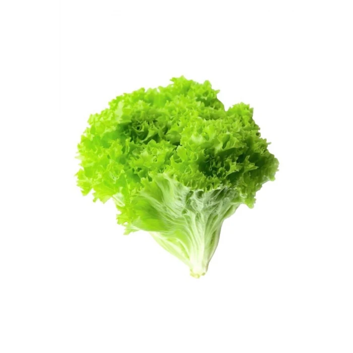 ieg™ Yazlık Kıvırcık Marul Tohumu 10 Gr
