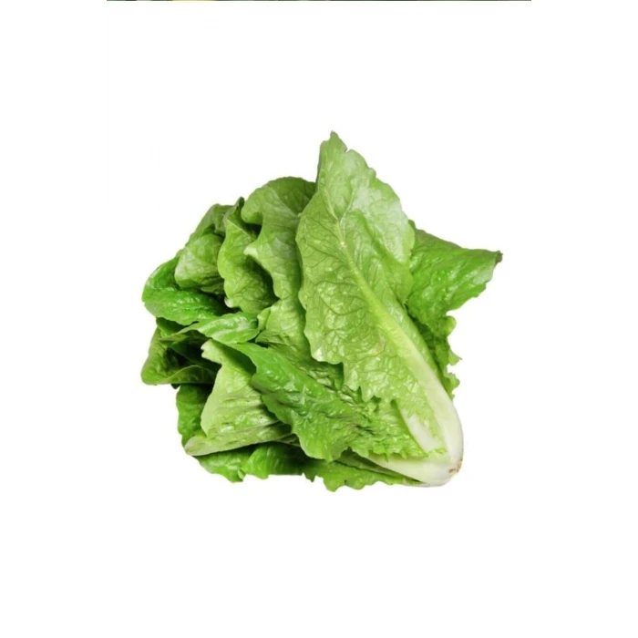 İEG Yedikule Marul Tohumu 10 Gr