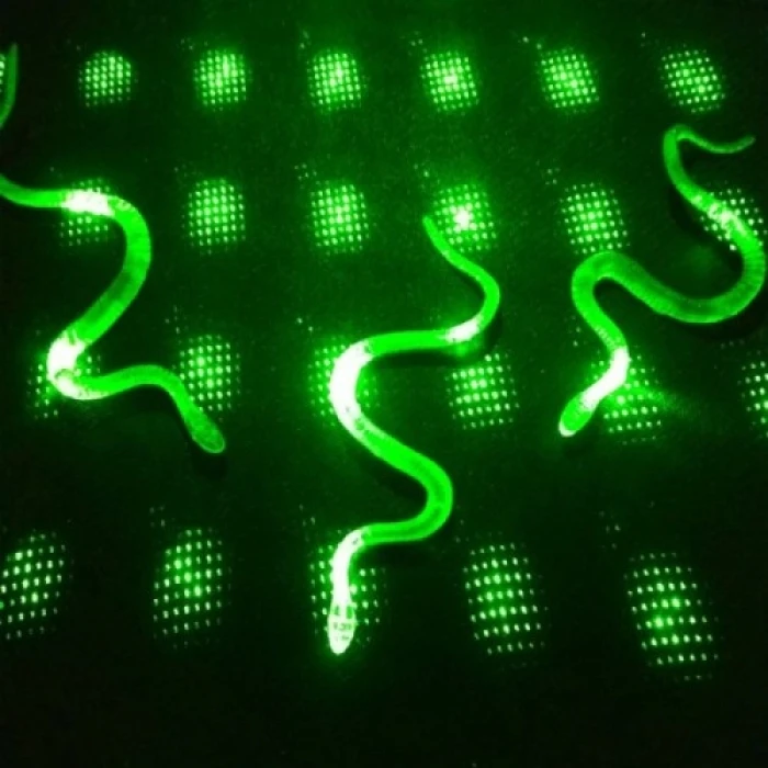 ieg™ Yılan Kırkayak Şaka Oyuncağı 36 Adet