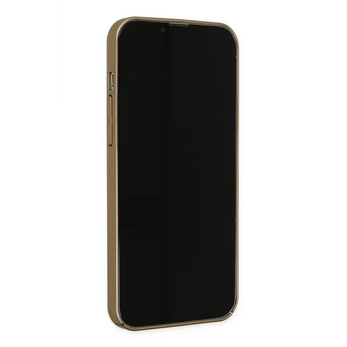 ieg™  iPhone 13 Pro Kılıf Jack Magneticsafe Lens Silikon - Gold