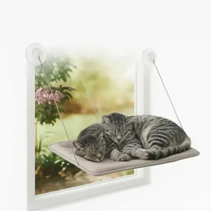 Kedi Pencere Yatağı