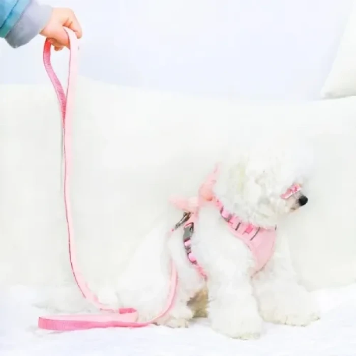 Peluş Ayıcıklı Göğüs Gezdirme Tasması Seti