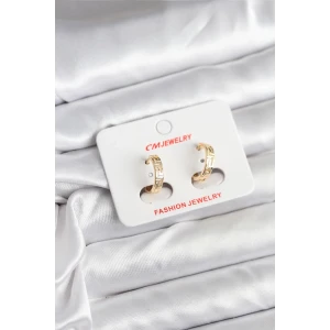 14K Gold Renk Kaplama CM Kadın Küpe - TJ-BKP11405