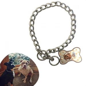 65 cm Uzunlukta Zincir Model Köpek İçin Boyun Tasması (4887)