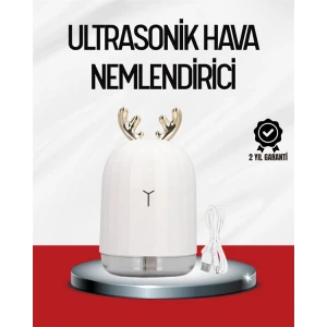 ieg™ El Tipi USB Mini Soğuk Mist Nemlendirici 220 ml Tank