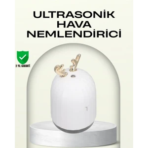 ieg™ ABS+PP Malzemeli Taşınabilir 220 ml USB Mist Nemlendirici