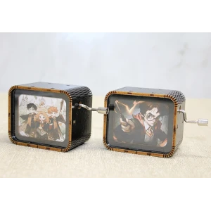 Harry Potter Müzik Kutusu