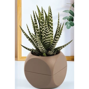 İEG 1 No Küp Saksı -KRS-401