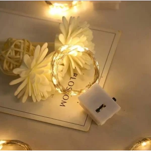 ieg™ 2m Pilli Peri Led Gün Işığı