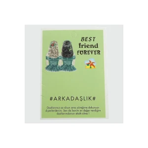 ieg™ 3lü Arkadaşlık Bileklik Kartı
