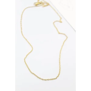 ieg™ Çelik Zincir Kolye - 45 cm - Altın