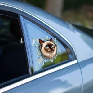 ieg™ Fulcar Siamesse Araç Stickerı
