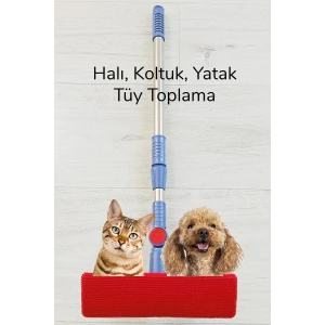 İEG® Kedi Köpek Sihirli Tüy Temizleme Fırçası 4 ü 1 Arada Döner Başlıklı