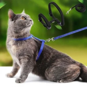 ieg™ Kedi Tasması