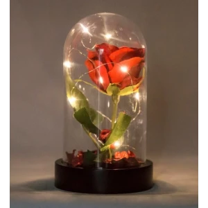 ieg ™ Led Işıklı Fanus İçinde Kırmızı Yapay Gül