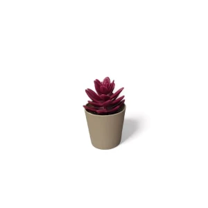 ieg™ Saksılı Yapa Çiçek Sükülen -5675